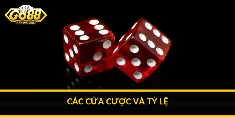 Các cửa cược và tỷ lệ
